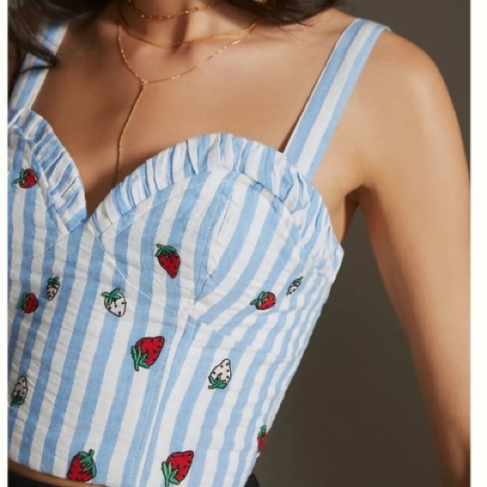 ANTHROPOLOGIE Maeve Striped Strawberry Embroidered Cami Blue White Tube Top